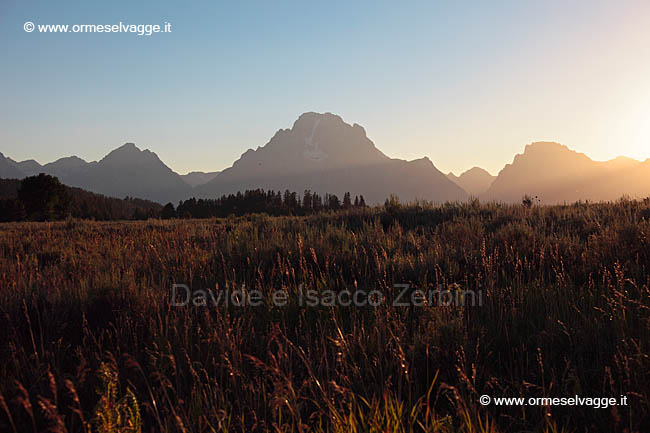 278 Tetons IMG 0345 (3)